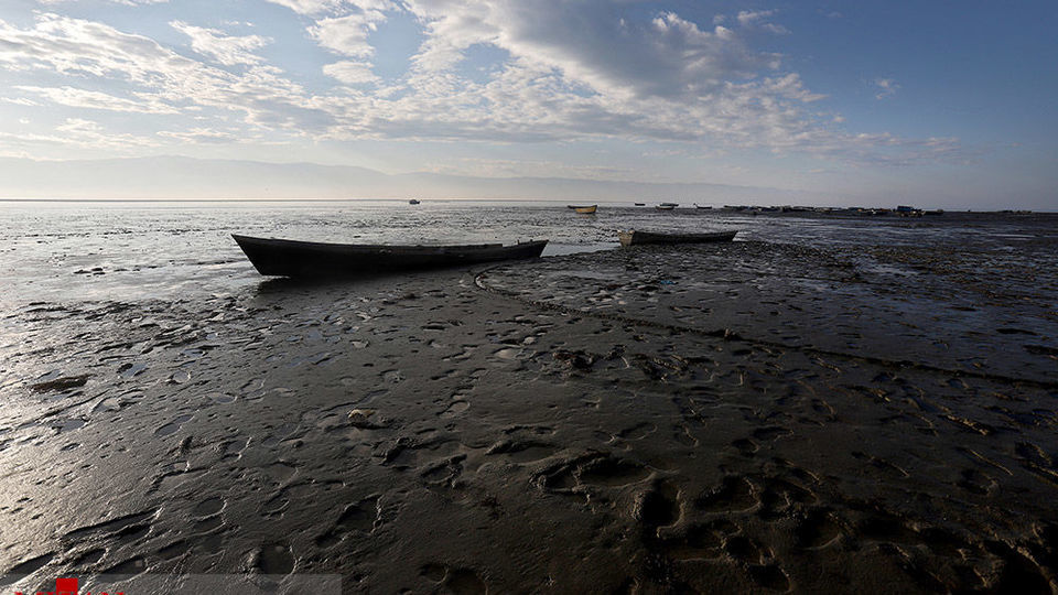 خلیج گرگان رو به مرداب شدن