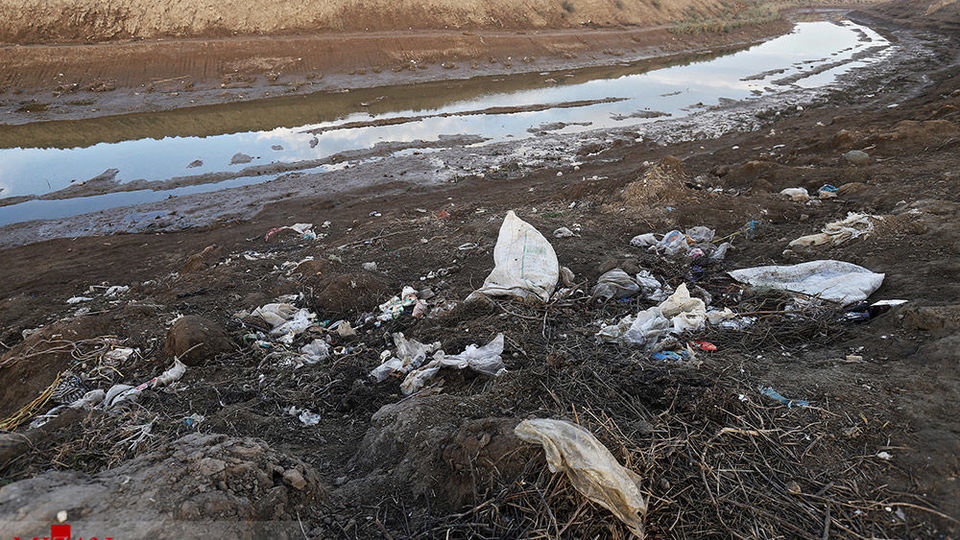 خلیج گرگان رو به مرداب شدن