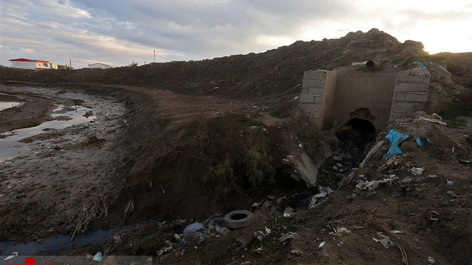 خلیج گرگان رو به مرداب شدن