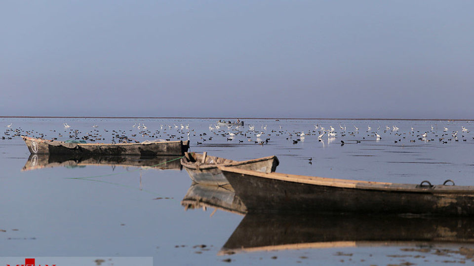 خلیج گرگان رو به مرداب شدن
