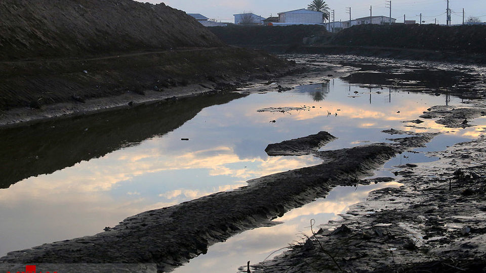 خلیج گرگان رو به مرداب شدن