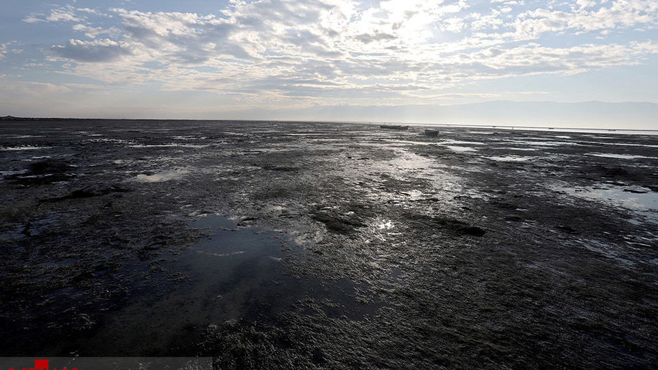 خلیج گرگان رو به مرداب شدن