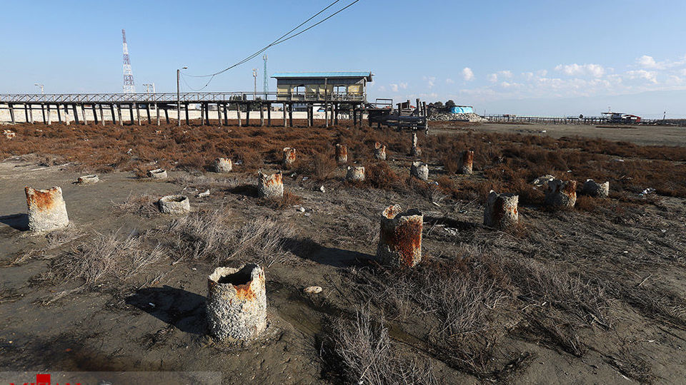 خلیج گرگان رو به مرداب شدن