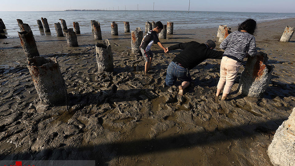 خلیج گرگان رو به مرداب شدن