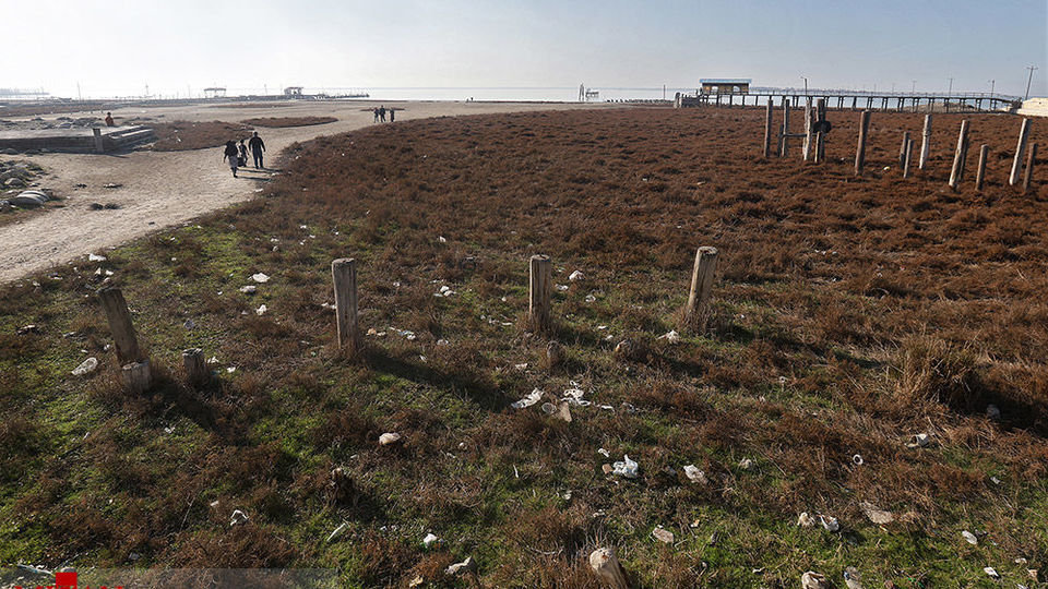 خلیج گرگان رو به مرداب شدن