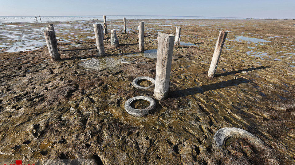 خلیج گرگان رو به مرداب شدن