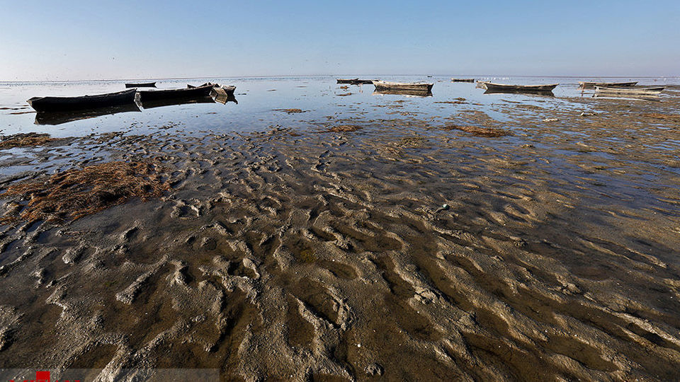 خلیج گرگان رو به مرداب شدن