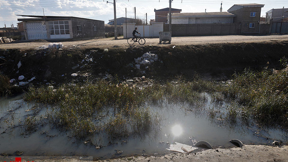 خلیج گرگان رو به مرداب شدن