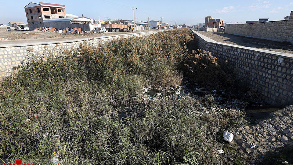 خلیج گرگان رو به مرداب شدن