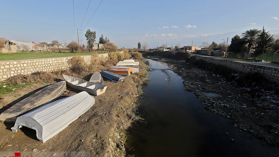خلیج گرگان رو به مرداب شدن