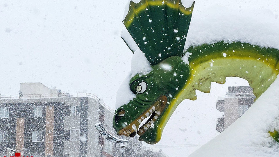 بارش برف سنگین - اهر