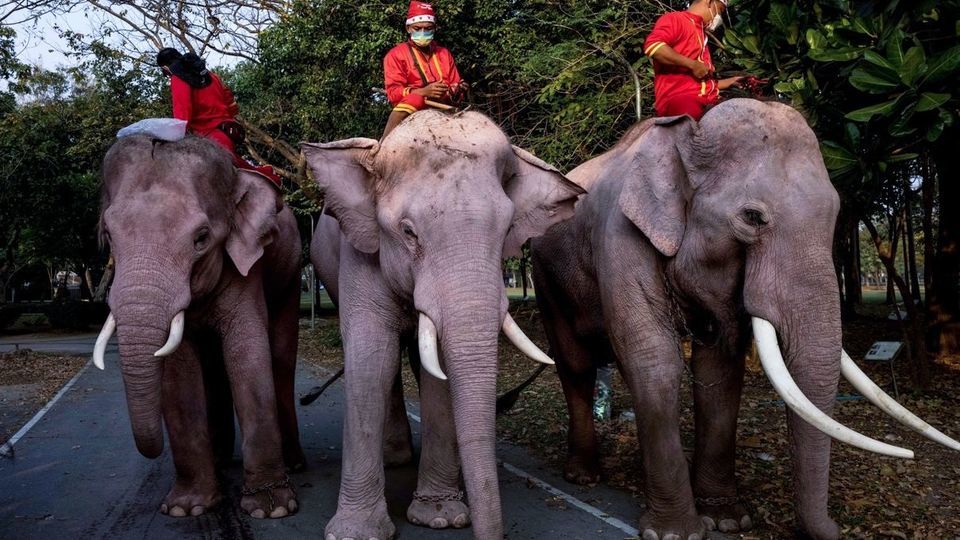 جهان در آستانه سال جدید میلادی