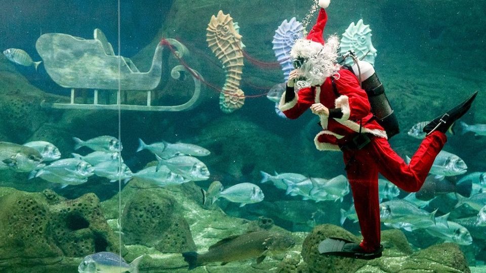 جهان در آستانه سال جدید میلادی