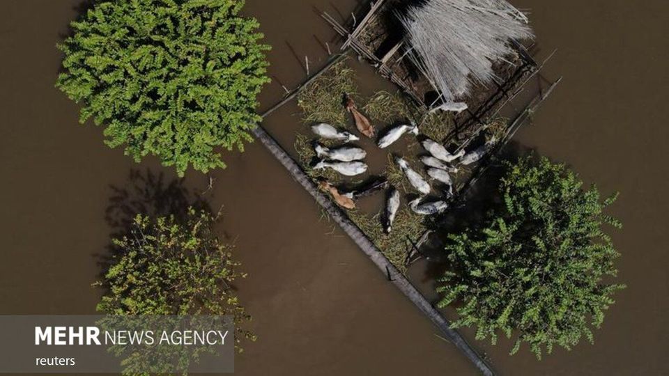 تصاویر برگزیده هوایی ۲۰۲۱