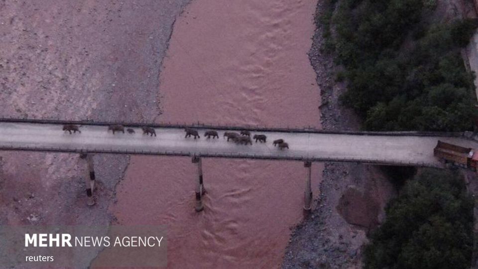 تصاویر برگزیده هوایی ۲۰۲۱