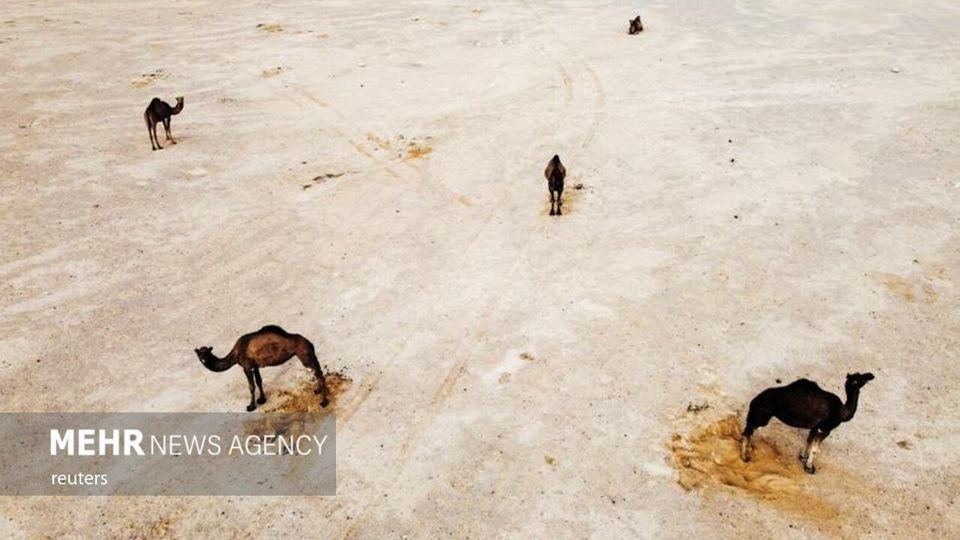 تصاویر برگزیده هوایی ۲۰۲۱