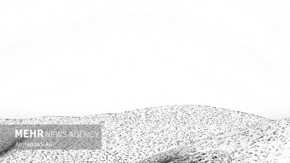 سپیدی برف بر تن کهنسال زاگرس