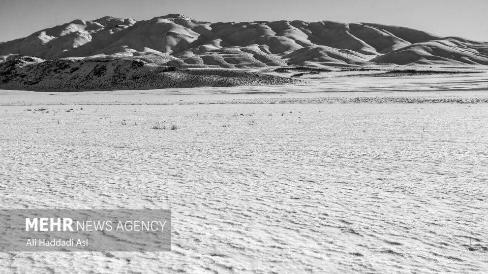 سپیدی برف بر تن کهنسال زاگرس