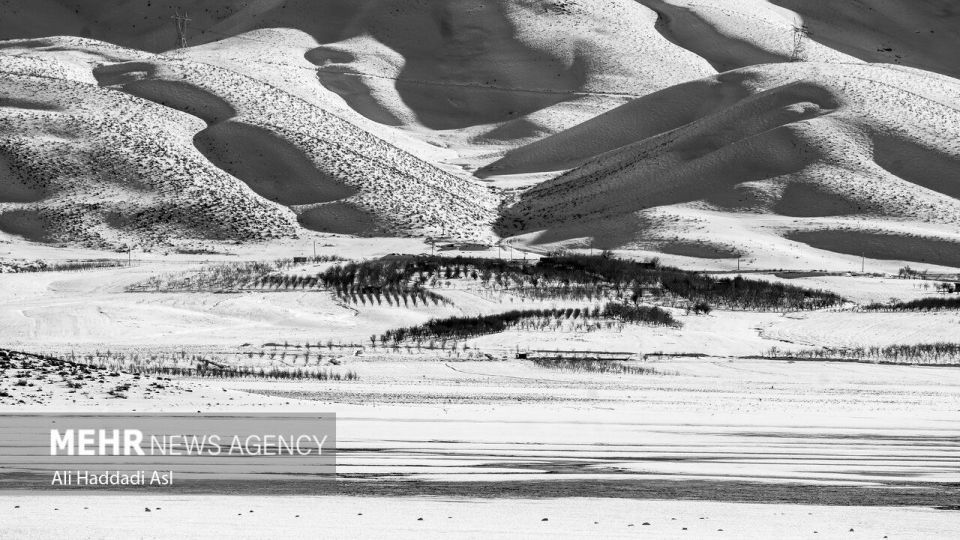 سپیدی برف بر تن کهنسال زاگرس