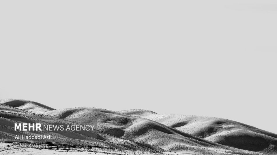 سپیدی برف بر تن کهنسال زاگرس