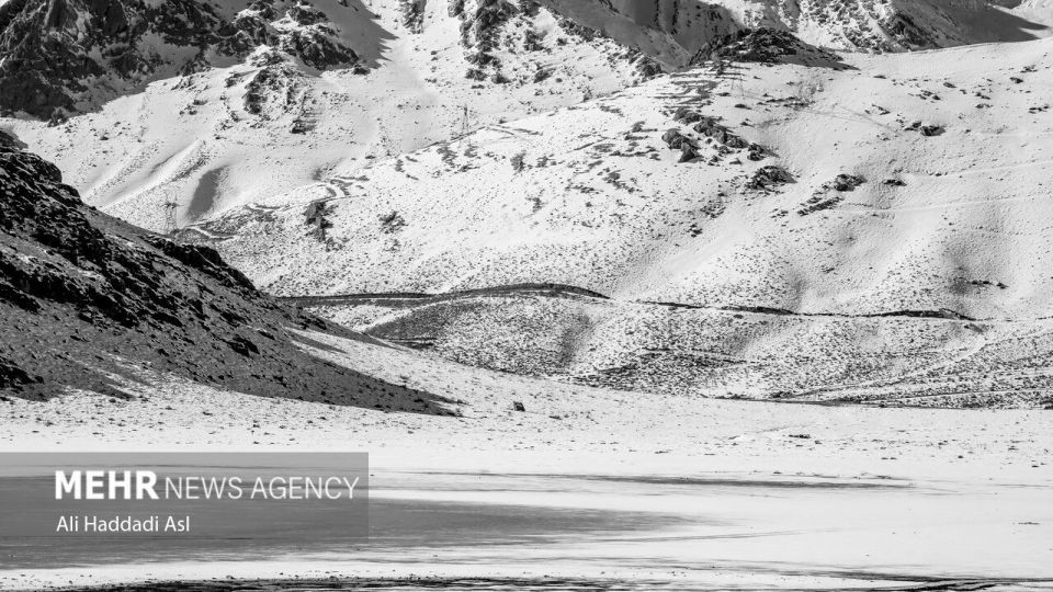 سپیدی برف بر تن کهنسال زاگرس