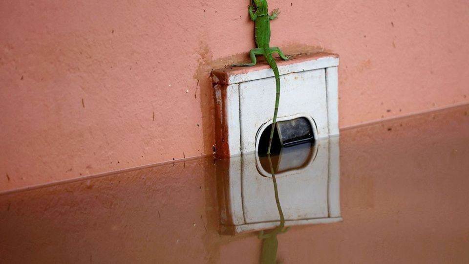 سیل در برزیل هزاران نفر را آواره کرد