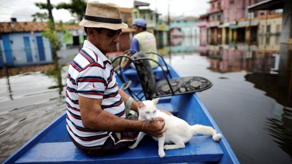 سیل در برزیل هزاران نفر را آواره کرد