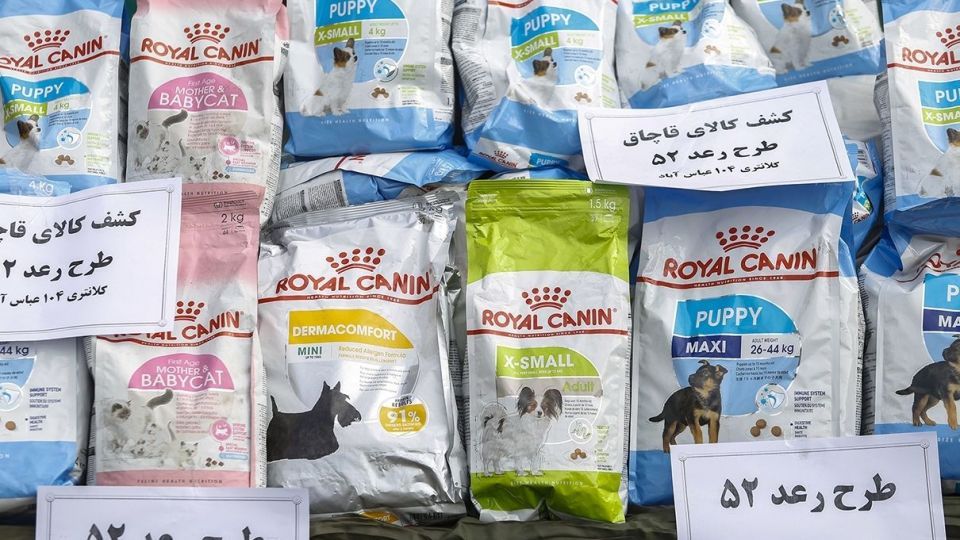 پنجاه و دومین طرح رعد