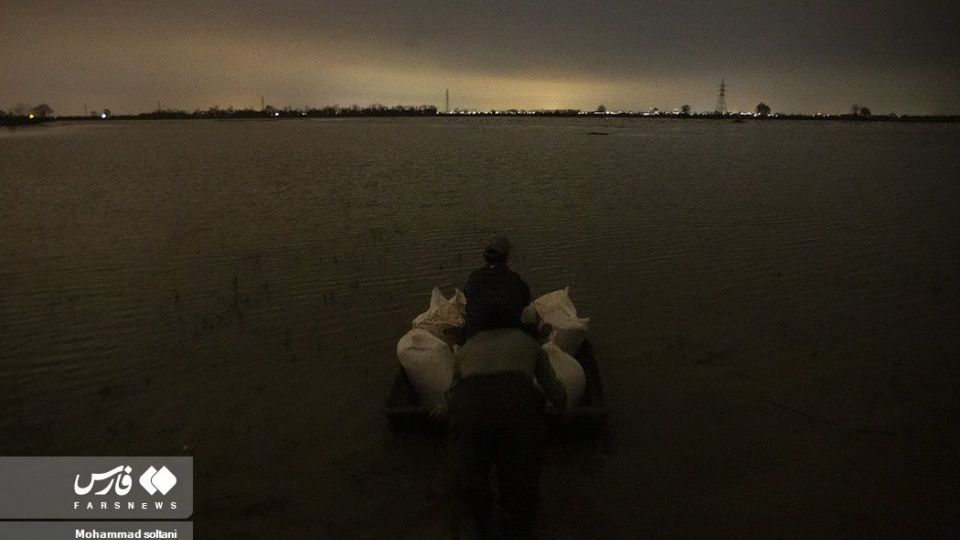 سمفونی پرواز قوها