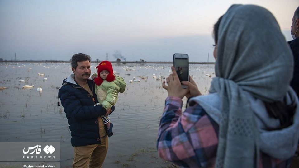 سمفونی پرواز قوها