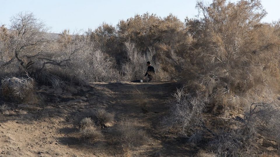 آب در دل کویر تکان خورد