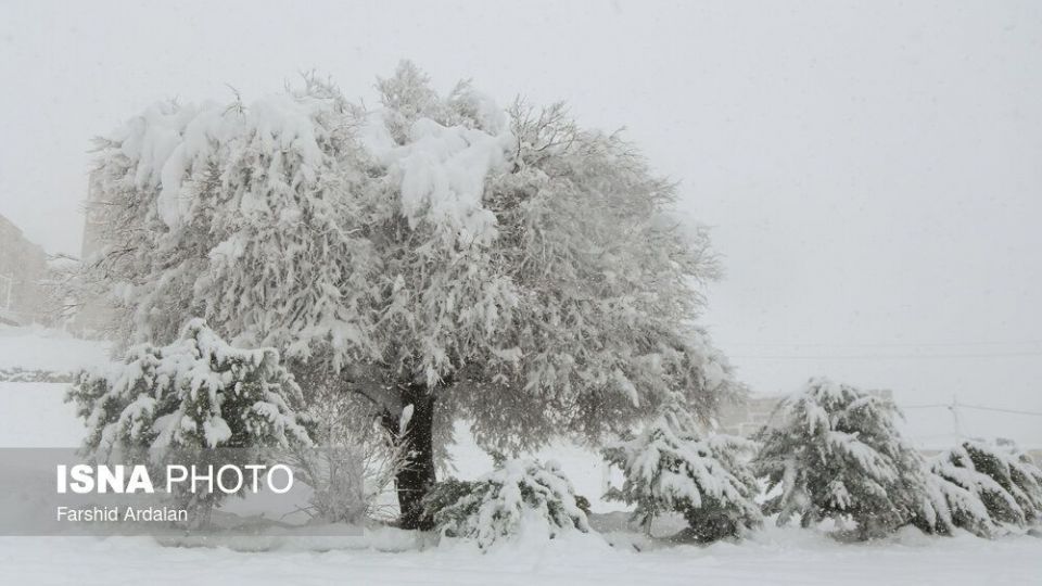 بارش برف در سنندج بعد از دو سال
