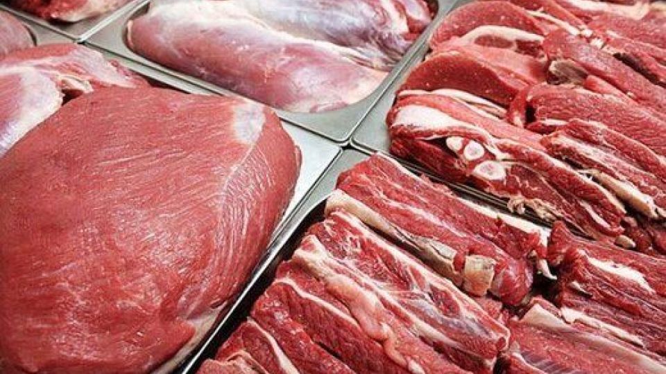 آخرین خبر درباره صادرات دام/ چرا قیمت گوشت همچنان خیلی بالاست؟