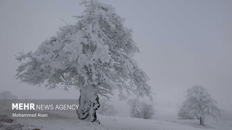 طبیعت برفی جاده اولنگ رامیان