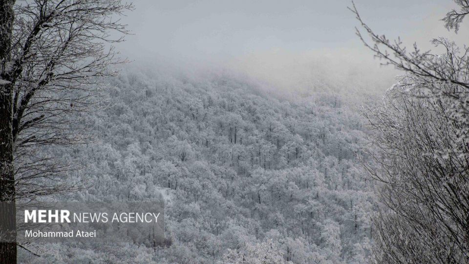 طبیعت برفی جاده اولنگ رامیان