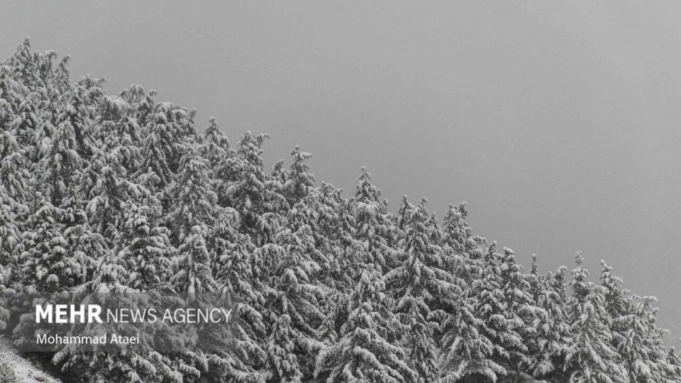 طبیعت برفی جاده اولنگ رامیان