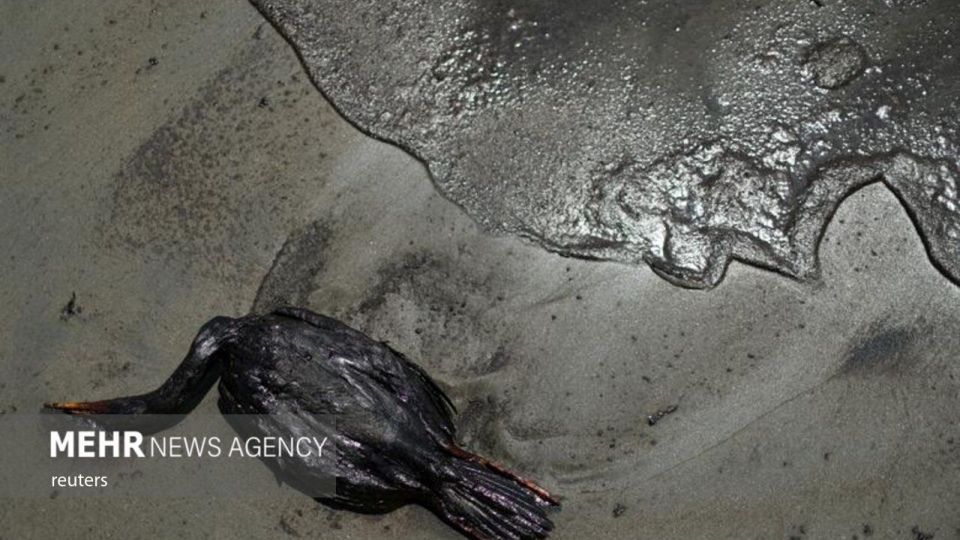 فوران آتشفشان تونگا