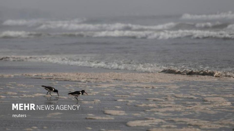 فوران آتشفشان تونگا