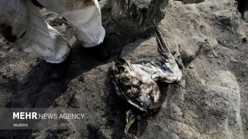 فوران آتشفشان تونگا