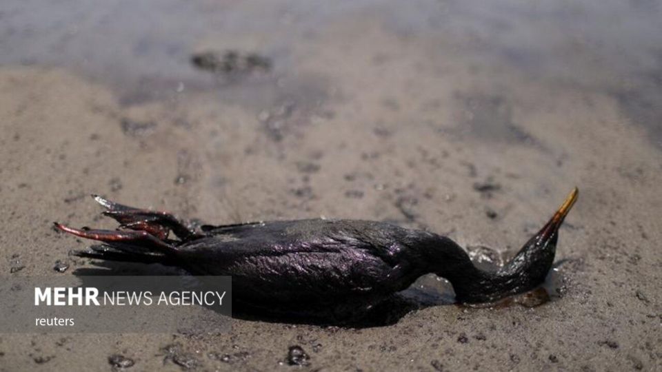 فوران آتشفشان تونگا