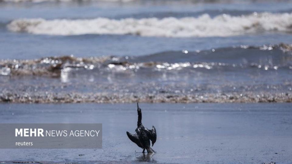 فوران آتشفشان تونگا