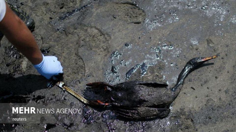 فوران آتشفشان تونگا