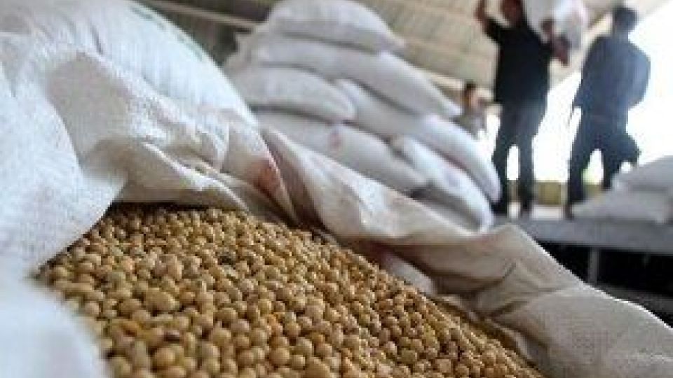 ماجرای فاسد شدن چندصد تن سویای دامی در بندر امام چیست؟