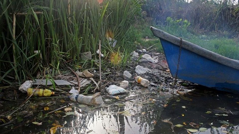 معاون اجرایی رییس جمهور: نسبت به تالاب انزلی بی‌مبالاتی شده است