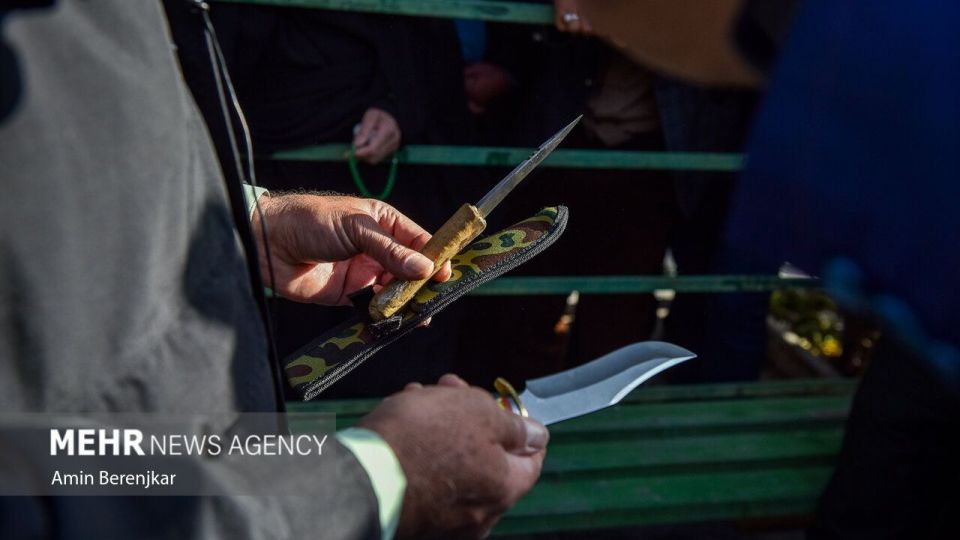 بازداشت قاتل «علی اکبر رنجبر» در شیراز