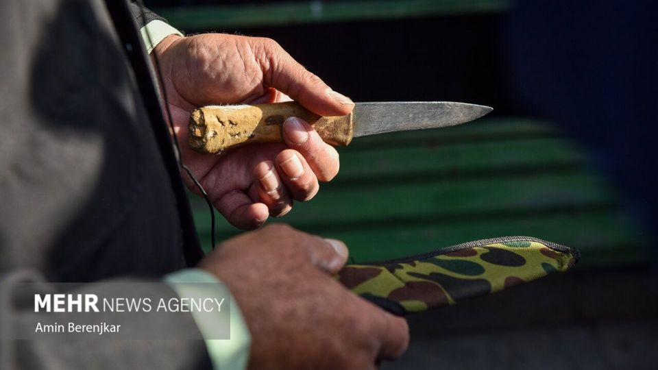 بازداشت قاتل «علی اکبر رنجبر» در شیراز