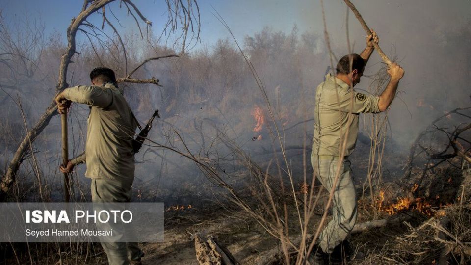 آتش‌سوزی در اراضی جنگلی پارک ملی کرخه