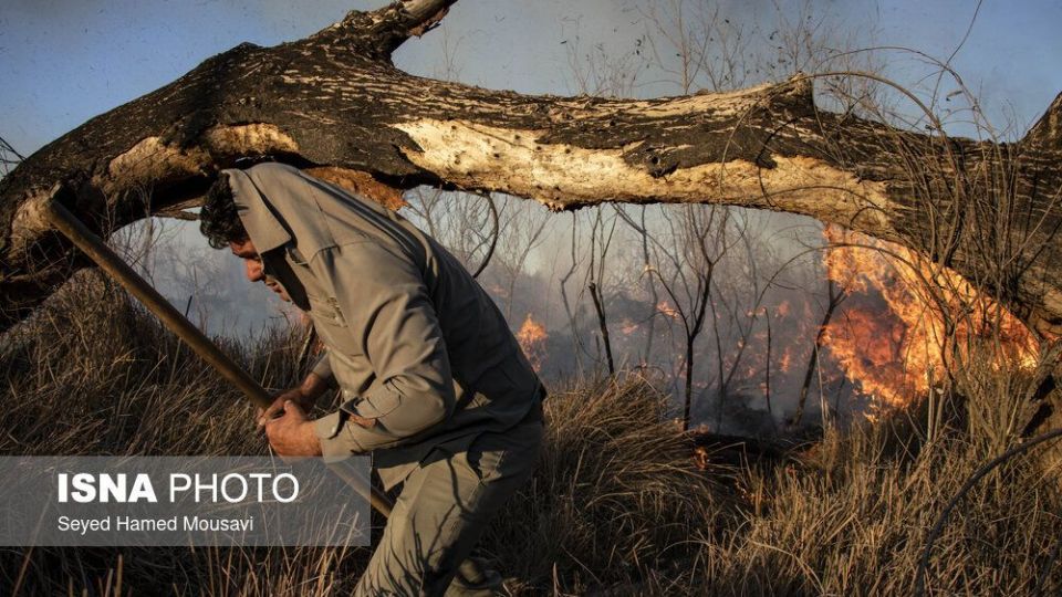 آتش‌سوزی در اراضی جنگلی پارک ملی کرخه
