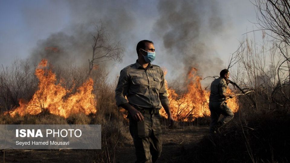 آتش‌سوزی در اراضی جنگلی پارک ملی کرخه