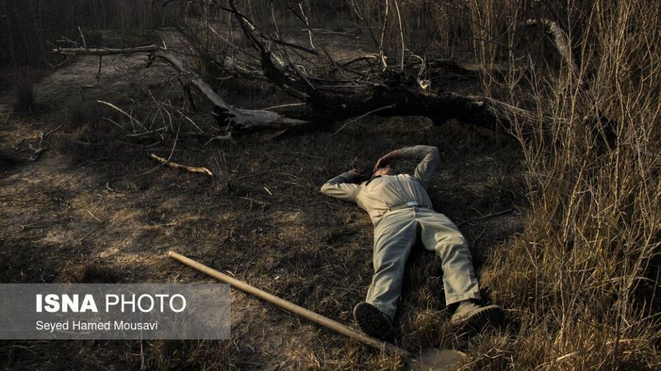 آتش‌سوزی در اراضی جنگلی پارک ملی کرخه